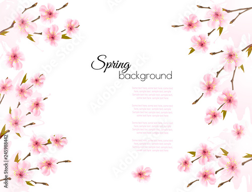 Sakura japan cherry branch with a pink flowers background. Vector