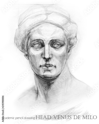 Venus de Milo. academic pencil drawing