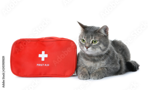 First aid kit and cute cat on white background. Animal care