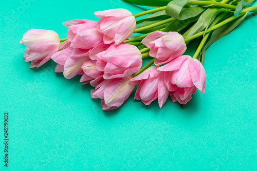 Springtime, easter. Pink tulips on green background, top view, copy space