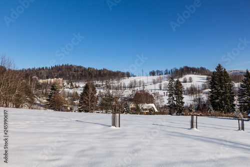 The winter view of a ski resort with houses and mountains background