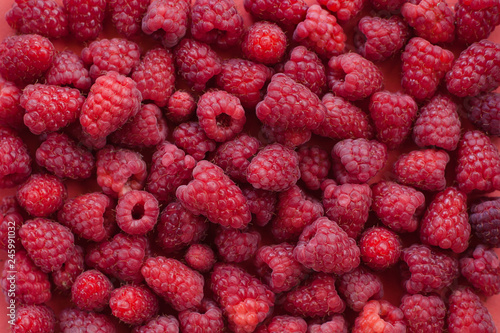 Raspberries background  pattern and texture. Red ripe fresh berries in summer.