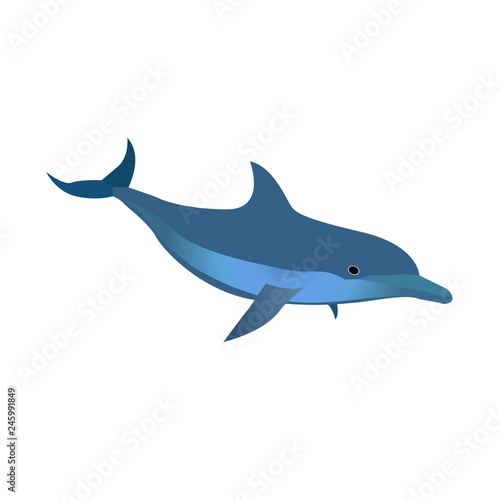 Dolphin vector