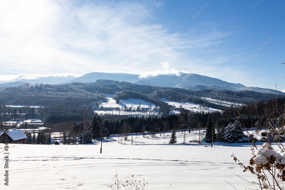 Winter wonderland background. Frosty sunny day in mountain spruce forest. Snowy trees and blue sky