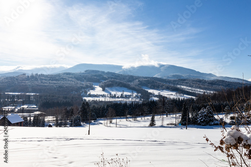 Winter wonderland background. Frosty sunny day in mountain spruce forest. Snowy trees and blue sky