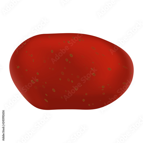 Red potato icon. Realistic illustration of red potato vector icon for web design isolated on white background