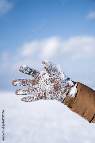 Close-up of a hand covered with snow on a cold winter day.