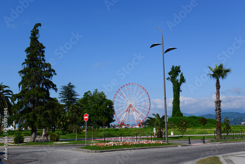 Ferris wheel and marvellous trees