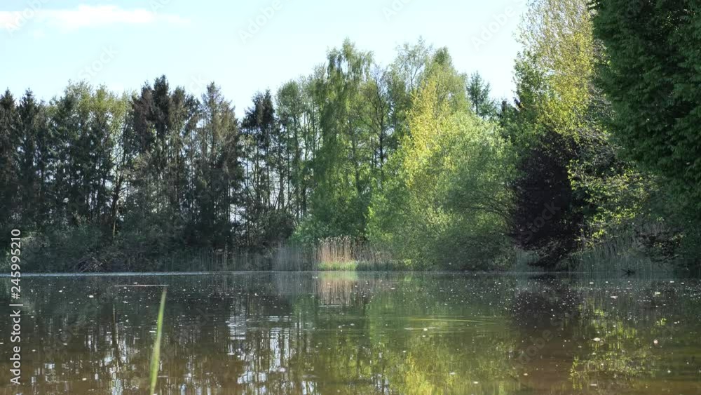 Idyllischer Weiher im Frühling mit Bäumen am Ufer, Insekten fliegen über dem Wasser Idyllischer Weiher im Frühling mit Bäumen am Ufer, Insekten fliegen über dem Wasser