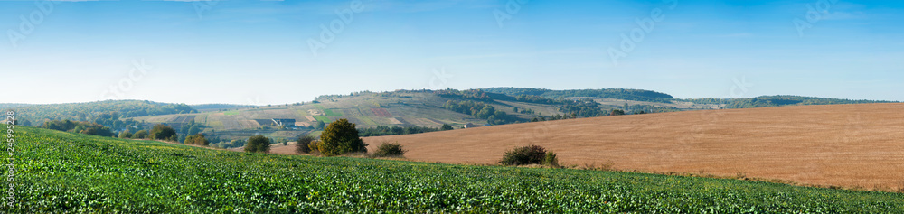 Big panoramic appearance lines of colored fields