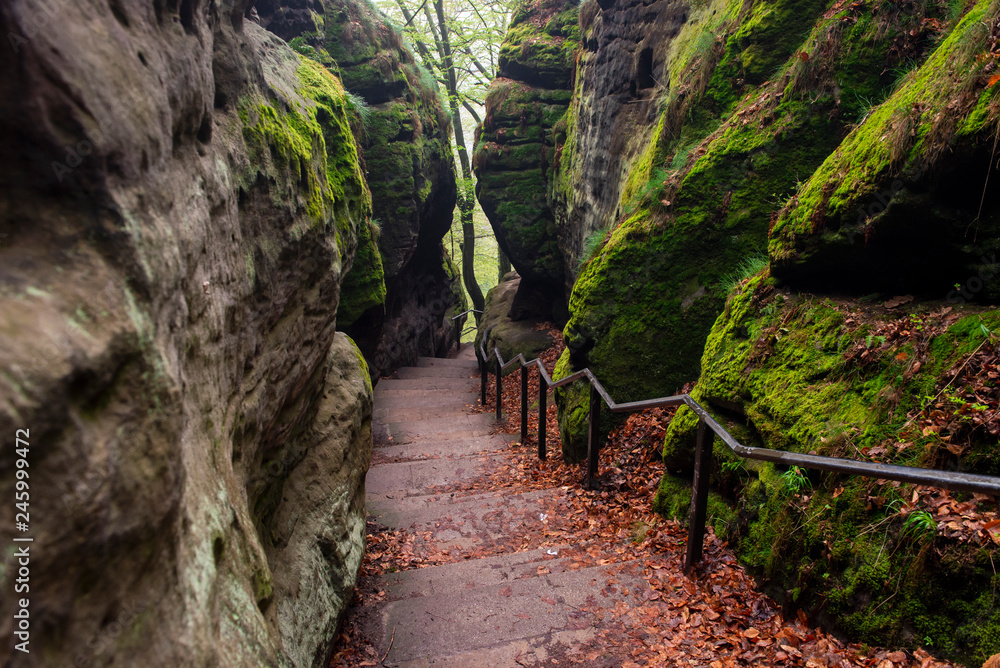Bastei Dresden Germany.Park Saxon Switzerland.The cliffs are located not far from Rathen near the town of Pirne in the south-east of Dresden.The rocks in the fog.Beautiful landscape.Mountains travel.