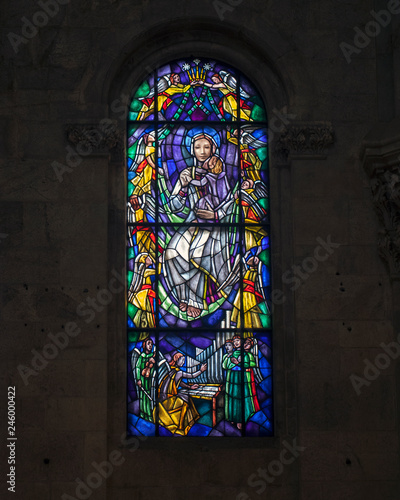 Stained glass. Cathedral in Lucca