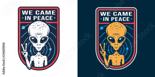 Vintage space colorful badge