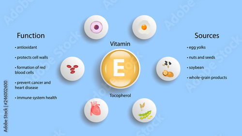 Vitamin E vector design. Vitamin E function and sources. Tocopherol vector