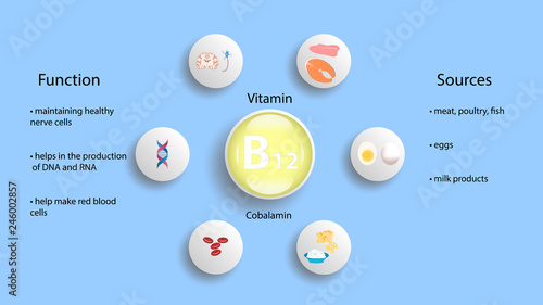 Vitamin B12 vector design. Vitamin B12 function and sources. Cobalamin