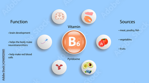 Vitamin B6 vector design. Vitamin B6 function and sources. Pyridoxin