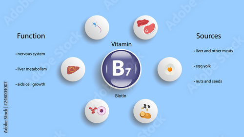 Vitamin B7 vector design. Vitamin B7 function and sources. Biotin