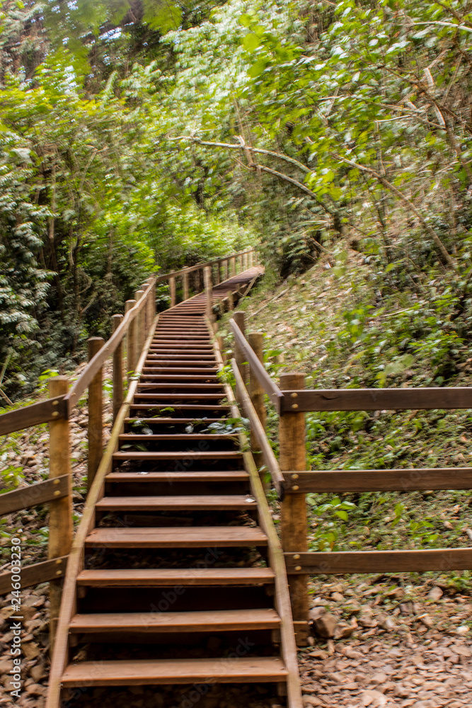 Stairway to nature Stairway to nature