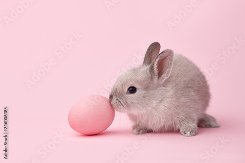 Easter bunny with egg on pi...