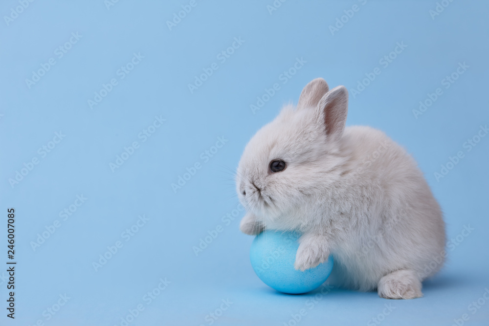 Easter bunny with egg on blue background Easter bunny with egg on blue background