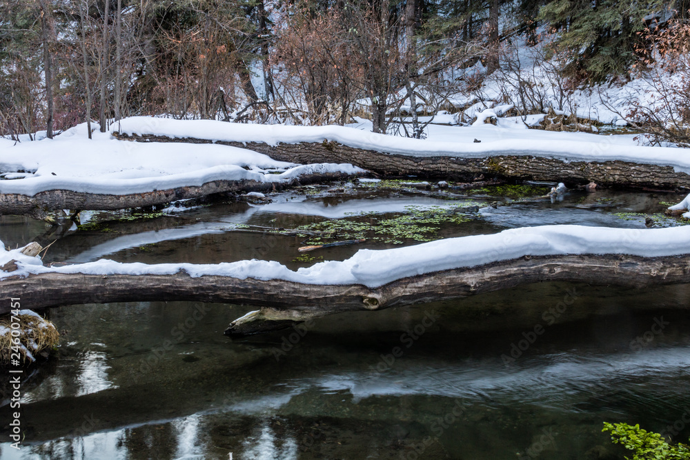 Big Hills springs under snow and ice, Big Hill Springs Provincial Recreation Area, Alberta, Canada Big Hills springs under snow and ice, Big Hill Springs Provincial Recreation Area, Alberta, Canada