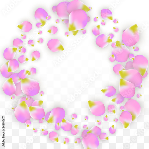 Fototapeta Naklejka Na Ścianę i Meble -  Vector Realistic Pink Petals Falling on Transparent Background.  Spring Romantic Flowers Illustration. Flying Petals. Sakura Spa Design. Blossom Confetti.
