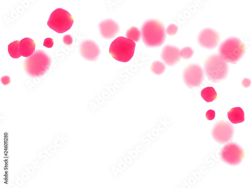 Pink rose petals falling vector valentine background.