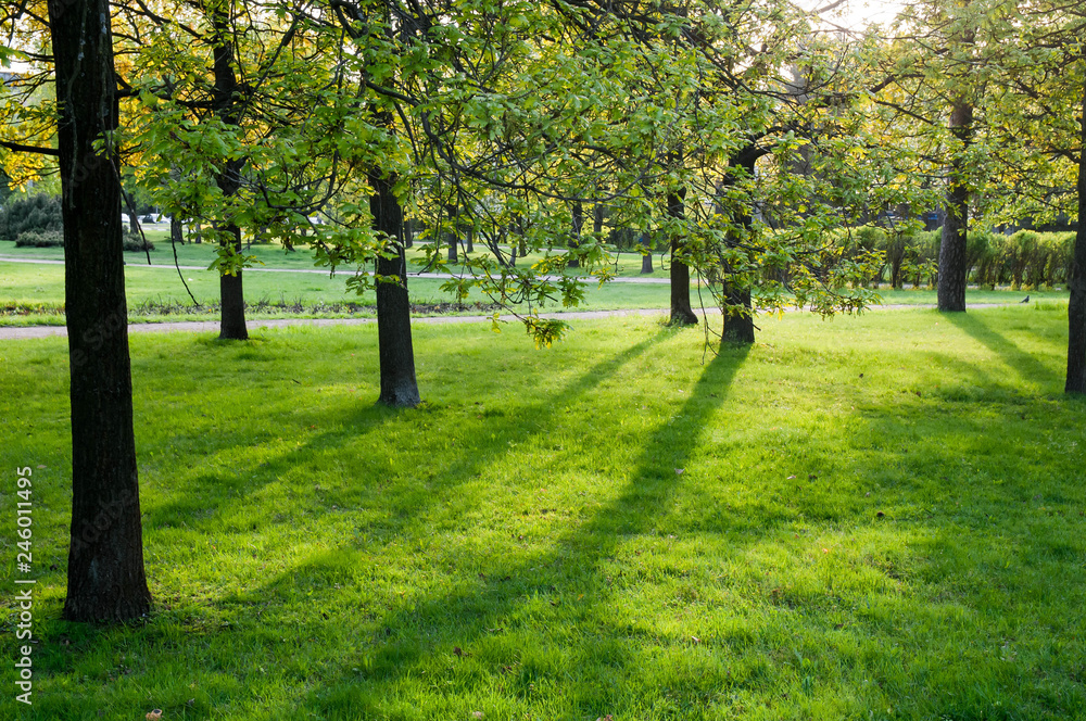 path in the park