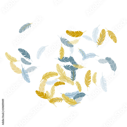 Detailed majestic feather on white design.