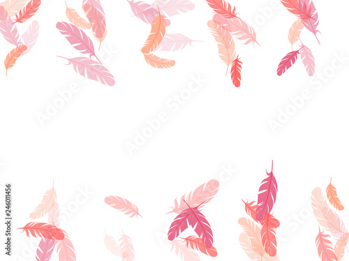 Falling feather elements soft vector design.