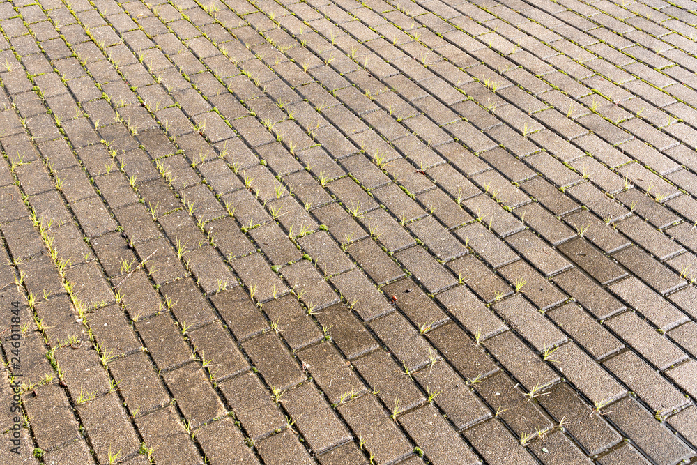 Wet Concrete pavement with green grass. Texture or background Wet Concrete pavement with green grass. Texture or background