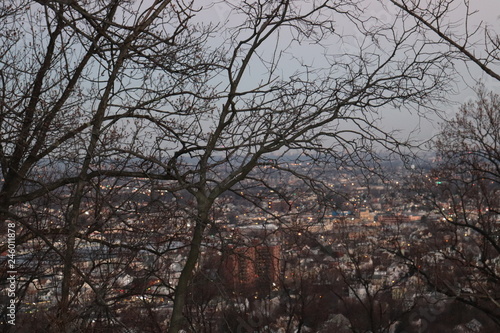 Wallpaper Mural birds eye of city Torontodigital.ca