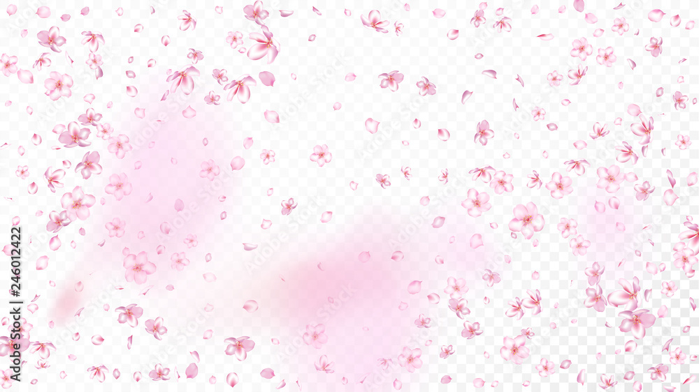 Nice Sakura Blossom Isolated Vector. Spring Blowing 3d Petals Wedding Pattern. Japanese Bokeh Flowers Wallpaper. Valentine, Mother's Day Beautiful Nice Sakura Blossom Isolated on White