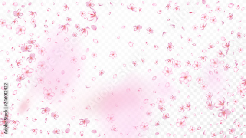 Nice Sakura Blossom Isolated Vector. Spring Blowing 3d Petals Wedding Pattern. Japanese Bokeh Flowers Wallpaper. Valentine, Mother's Day Beautiful Nice Sakura Blossom Isolated on White © graficanto