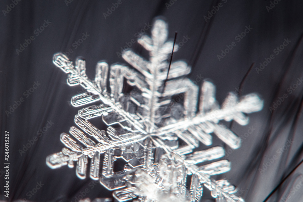 Snowflake on a defocused background - macro photo Snowflake on a defocused background - macro photo
