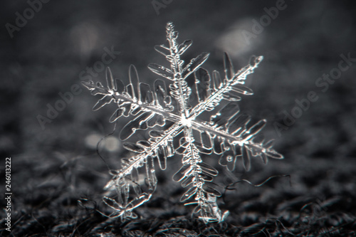 Snowflake on a defocused background - macro photo