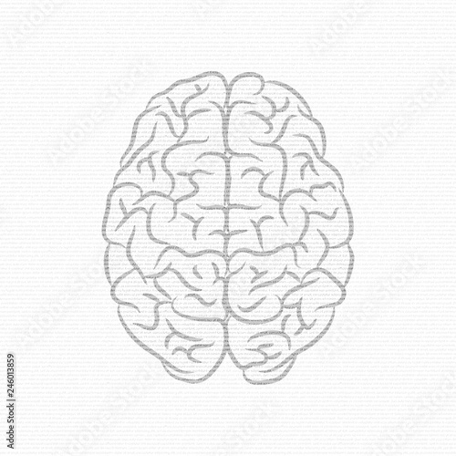 Text and brain silhouettes
