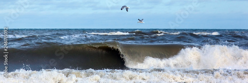 seagulls fly over the sea with big waves, panorama