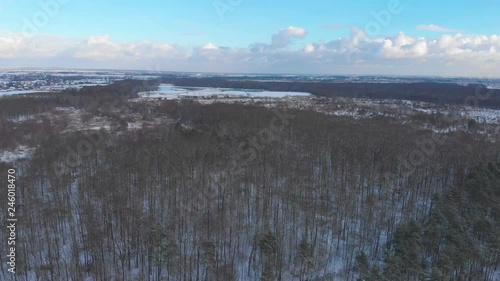Wallpaper Mural camera moving above the trees in the snowy forest at winter time (aerial) Torontodigital.ca