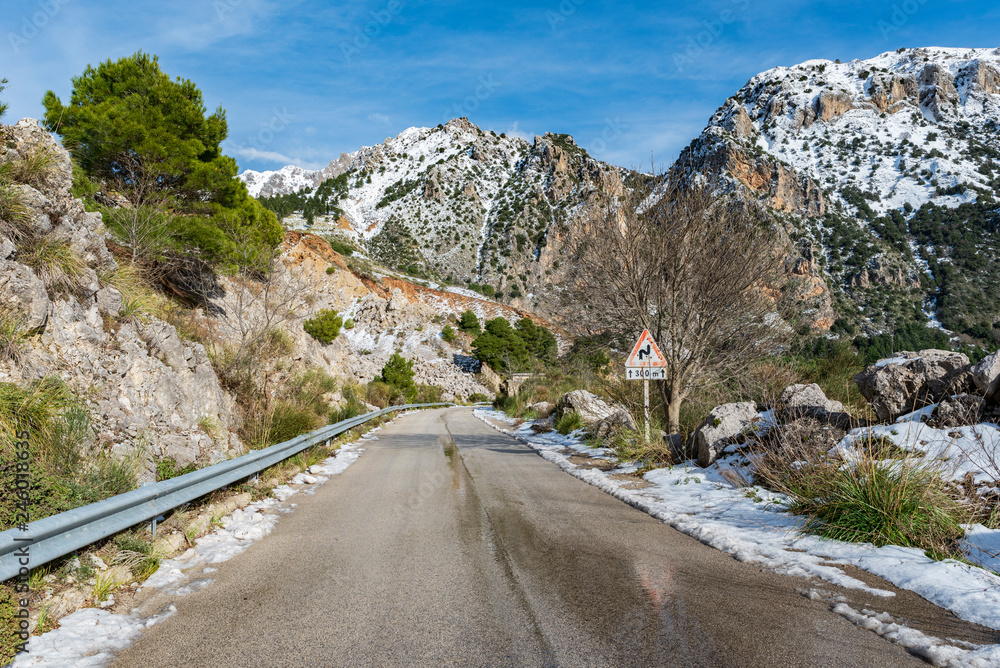 Naklejka premium Strada innevata nel parco delle Madonie, Sicilia