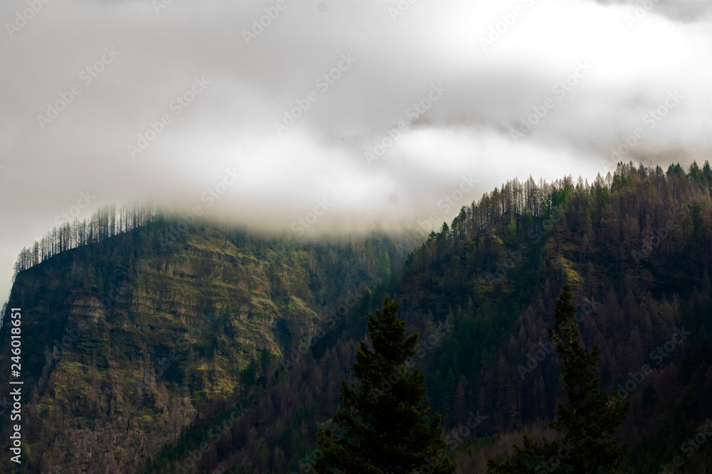 Cloudy Cliffs With Waterfalls and Pines