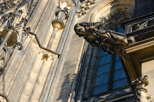 Gargoyle on building of Cathedral of St. Vitus in Prague Castle, Prague, Czech Republic photo