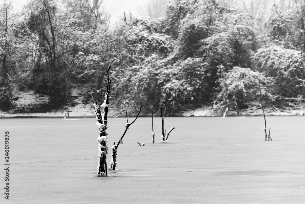 Naklejka premium Colorful landscape with snowy trees and beautiful frozen river.