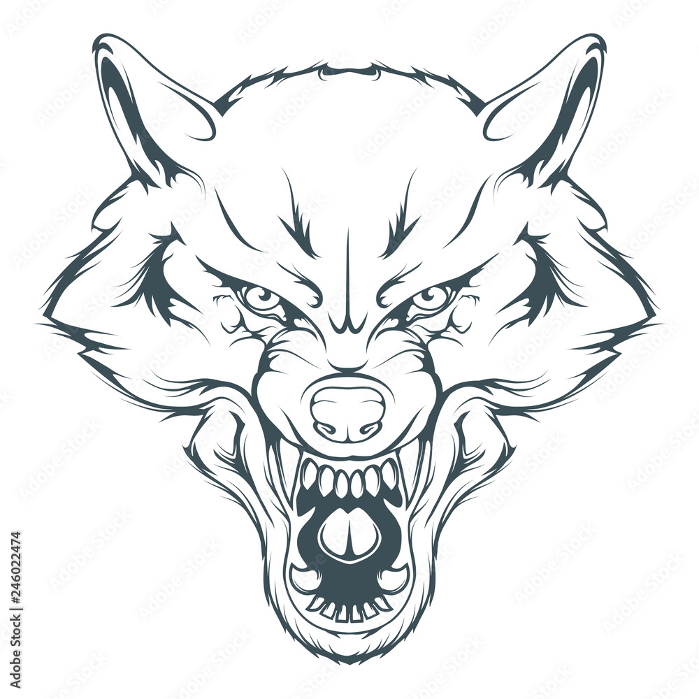 Fototapeta premium rysunek wektor głowy wilka, szkic rysunku twarzy wilka, głowa wilka w czerni i bieli, grafika wektorowa do zaprojektowania