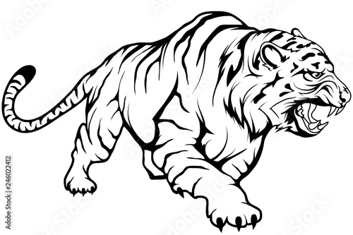 Fototapeta Naklejka Na Ścianę i Meble -  tiger vector drawing, tiger drawing sketch in full growth, crouching tiger in black and white, vector graphics to design