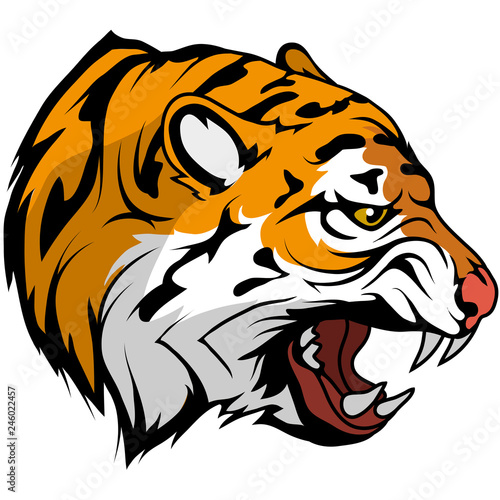 tiger head vector drawing, tiger face drawing sketch, tiger head