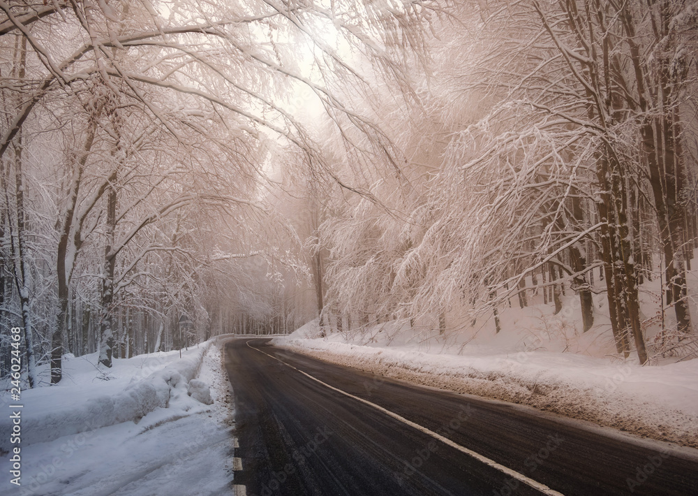 Obraz premium Mysterious sunshine into the forest in winter season in Certeze - Maramures region of Romania