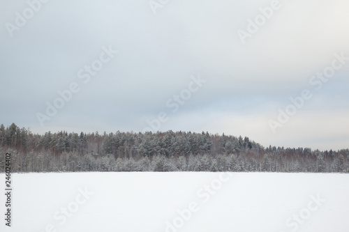 Rural landscape in winter © zest_marina
