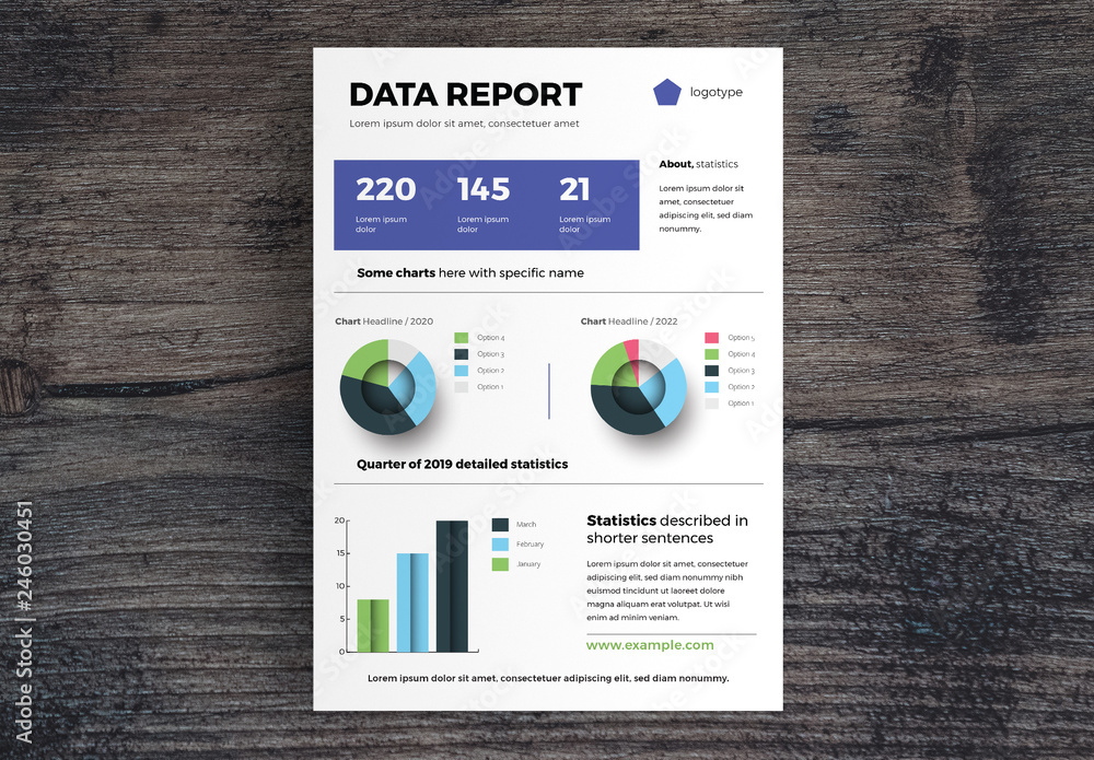 Data Report Infographic Layout with Charts Stock Template | Adobe Stock