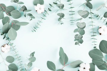 Flower stylish composition. Eucalyptus leaves and cotton flowers on pastel blue background. Pattern made of eucalyptus branches and flowers. Flat lay, top view, copy space